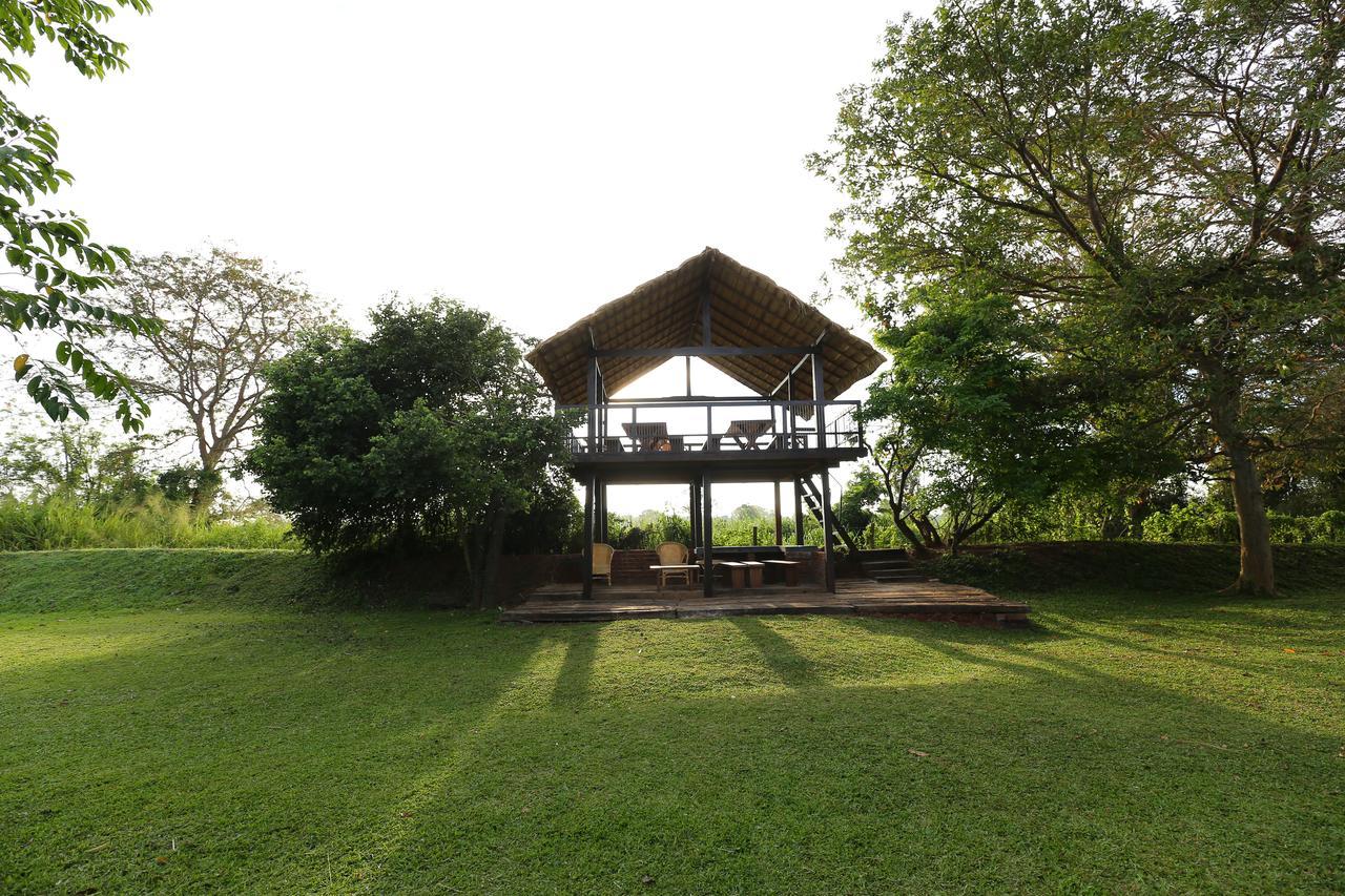 Sigiriyajungles Resort & Spa Extérieur photo