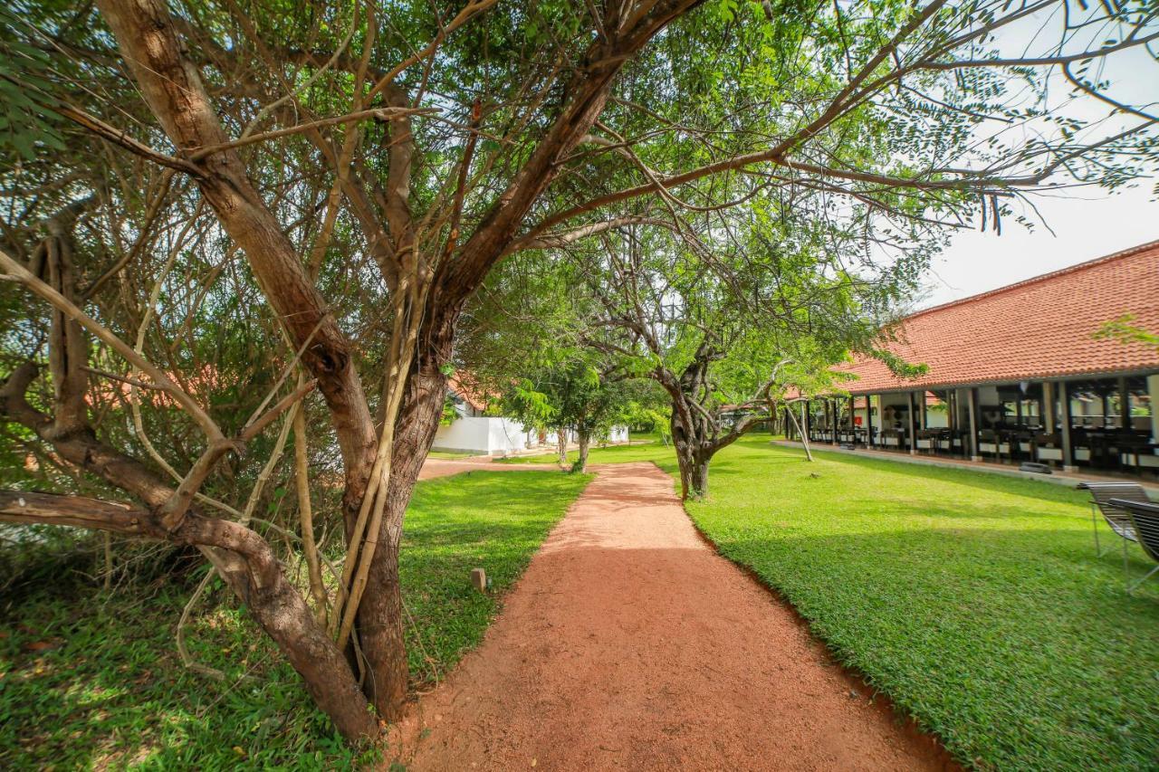 Sigiriyajungles Resort & Spa Extérieur photo